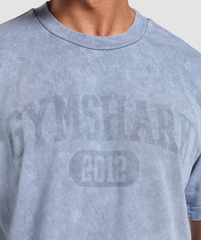 Gymshark Collegiate Shadow Washed T-Shirt Faded Blue | 58634KESP