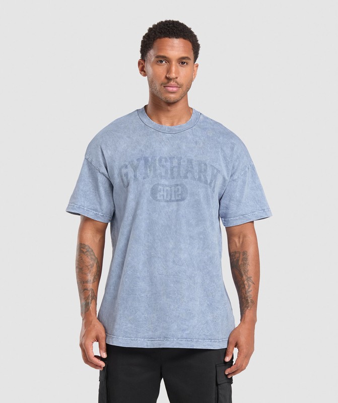 Gymshark Collegiate Shadow Washed T-Shirt Faded Blue | 58634KESP