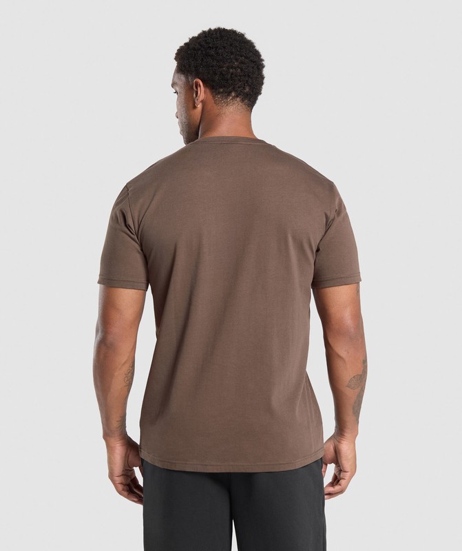 Gymshark Crest T-Shirt Walnut Brown | 07856WQNV