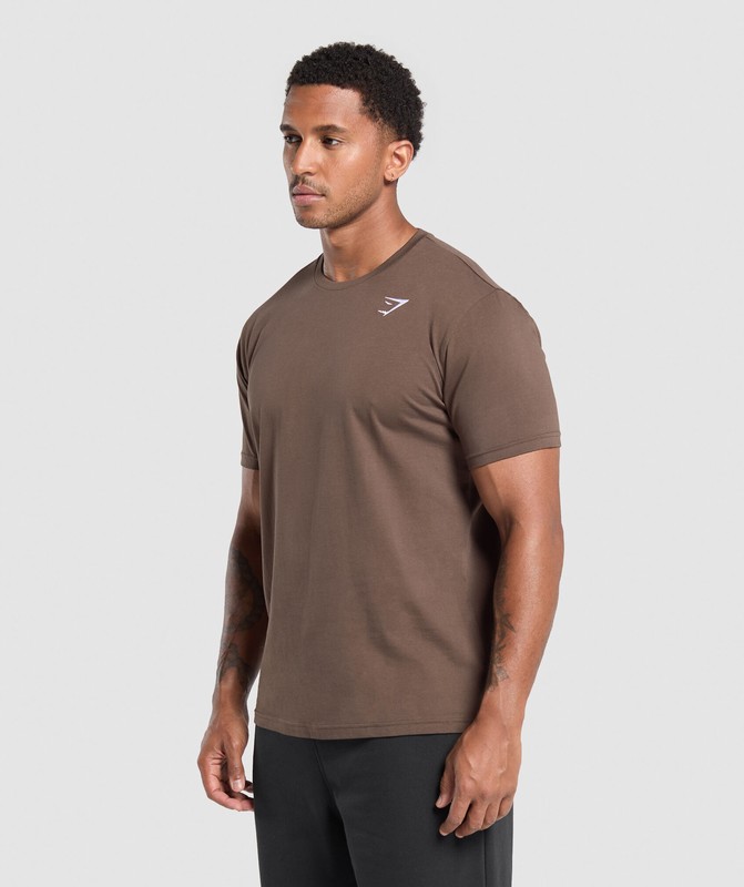 Gymshark Crest T-Shirt Walnut Brown | 07856WQNV