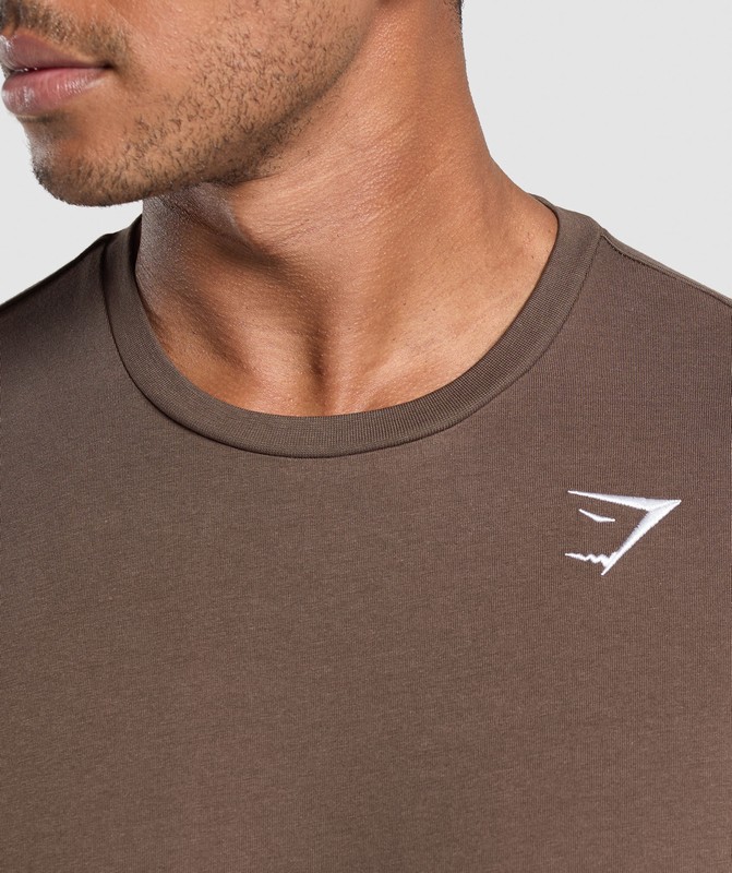 Gymshark Crest T-Shirt Walnut Brown | 07856WQNV