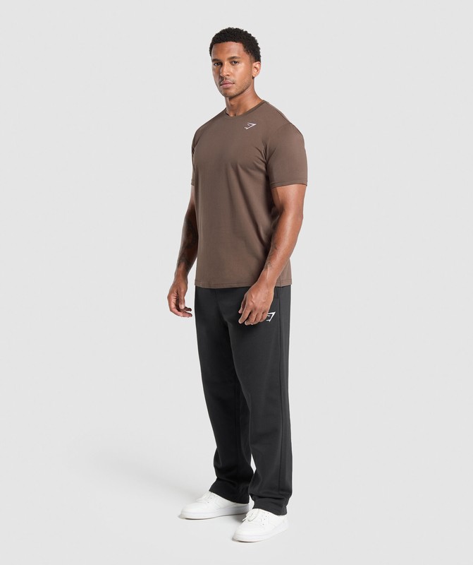 Gymshark Crest T-Shirt Walnut Brown | 07856WQNV