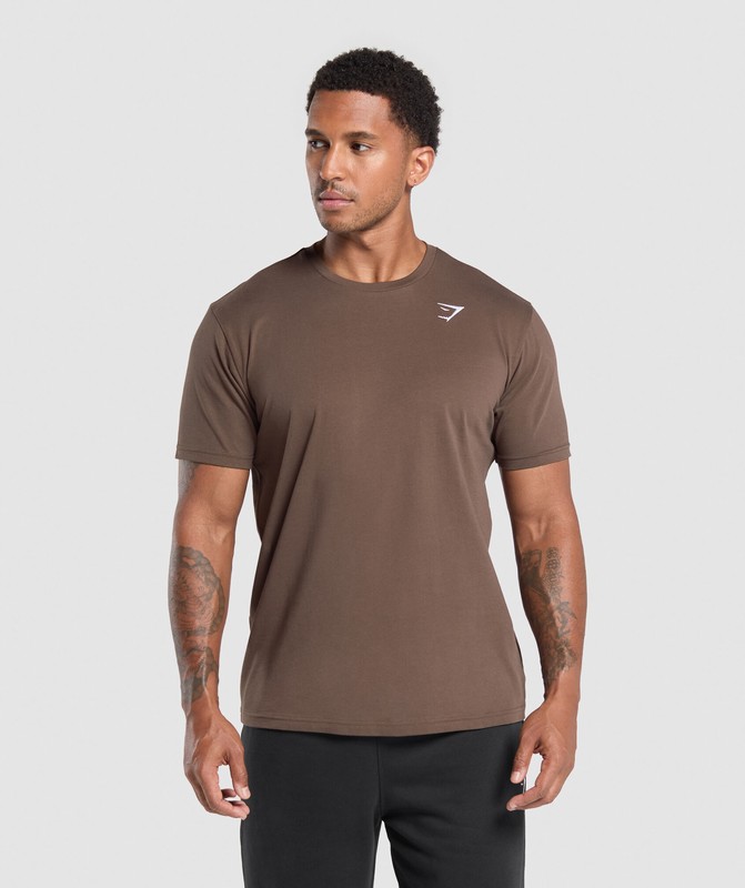 Gymshark Crest T-Shirt Walnut Brown | 07856WQNV