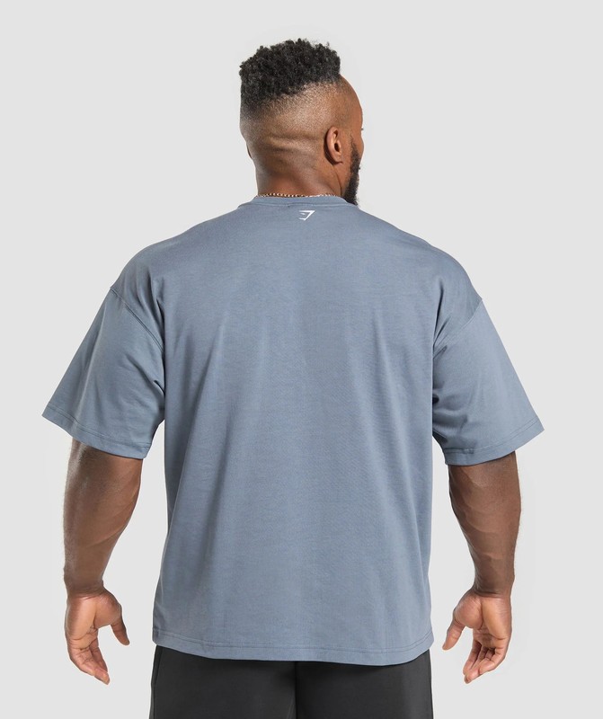 Gymshark Doberman Graphic T-Shirt Iron Blue | 23945TQRB