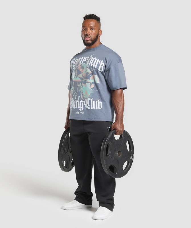 Gymshark Doberman Graphic T-Shirt Iron Blue | 23945TQRB