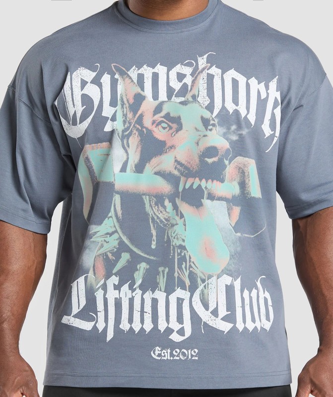 Gymshark Doberman Graphic T-Shirt Iron Blue | 23945TQRB