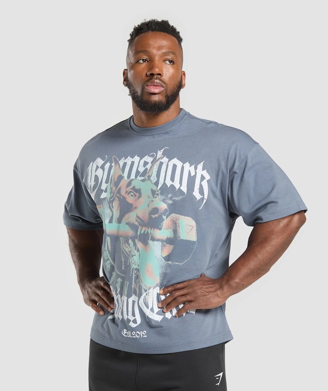 Gymshark Doberman Graphic T-Shirt Iron Blue | 23945TQRB