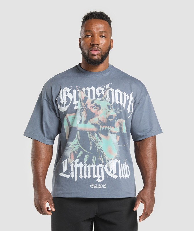 Gymshark Doberman Graphic T-Shirt Iron Blue | 23945TQRB