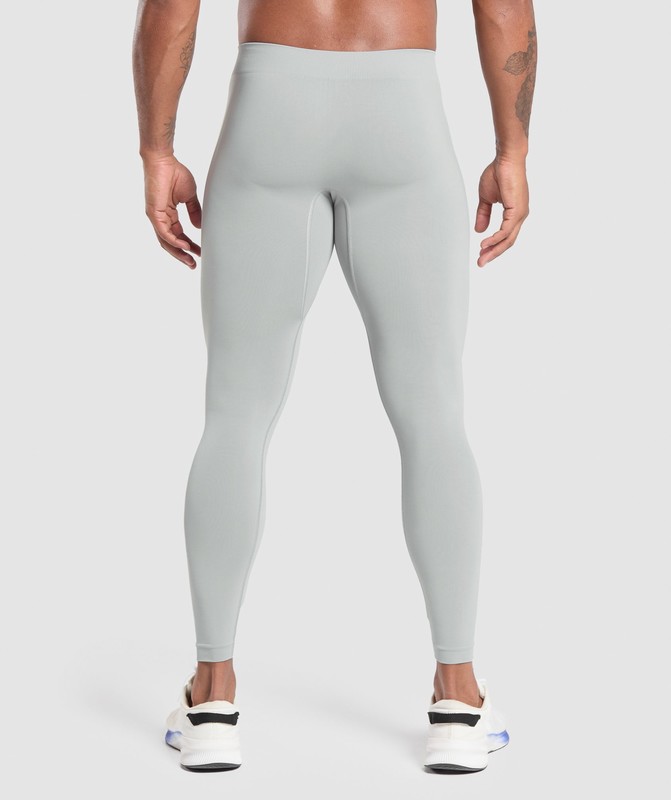 Gymshark Everyday Seamless Baselayer Leggings Silver Grey | 54316QDXC