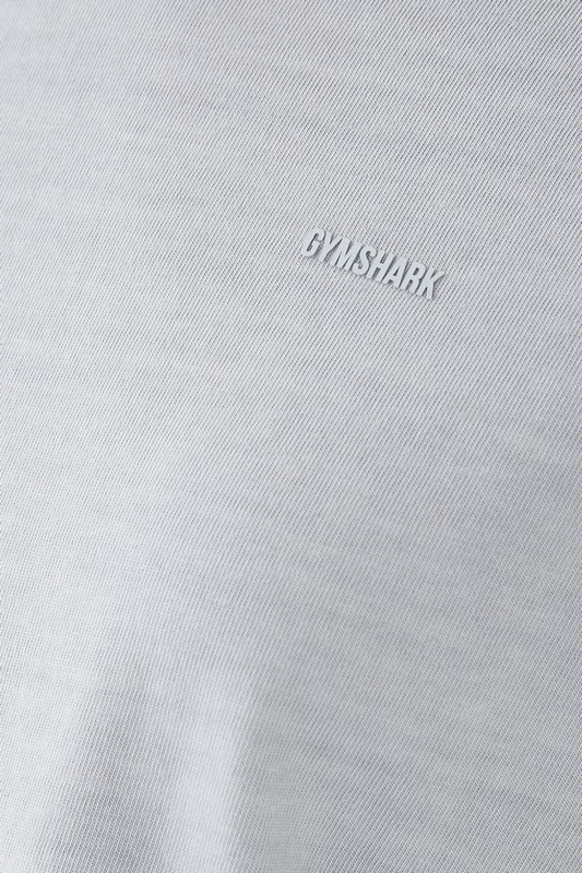 Gymshark Everywear Regular T-Shirt Ice Grey / Pigment Garment Dye | 18035RUQZ