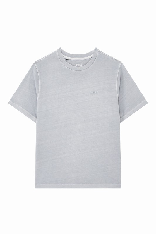 Gymshark Everywear Regular T-Shirt Ice Grey / Pigment Garment Dye | 18035RUQZ