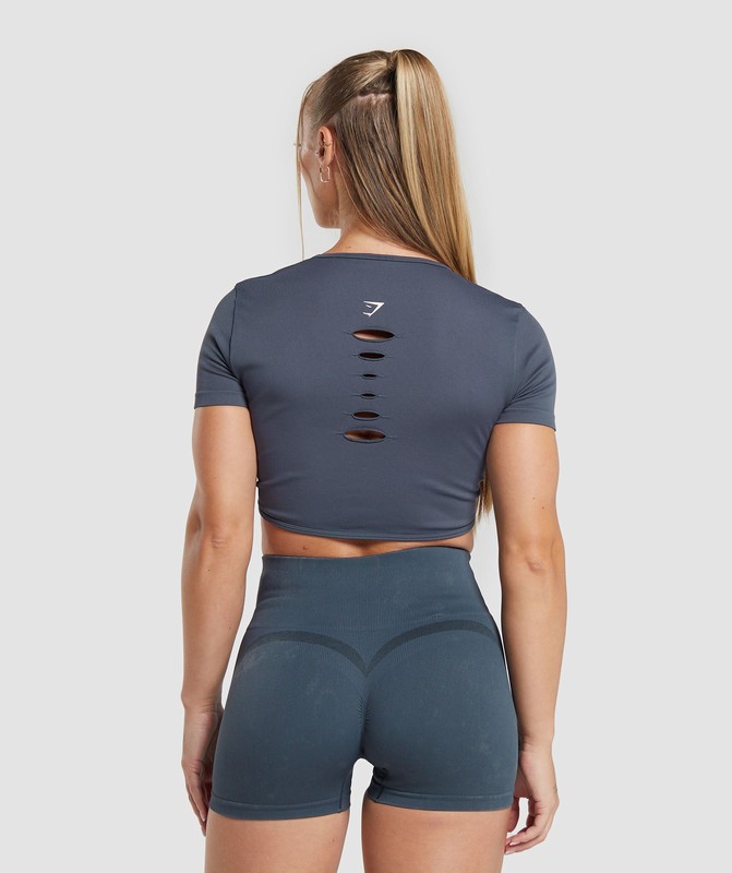 Gymshark Gains Seamless Fitted Crop Top Titanium Blue | 89570NKUG