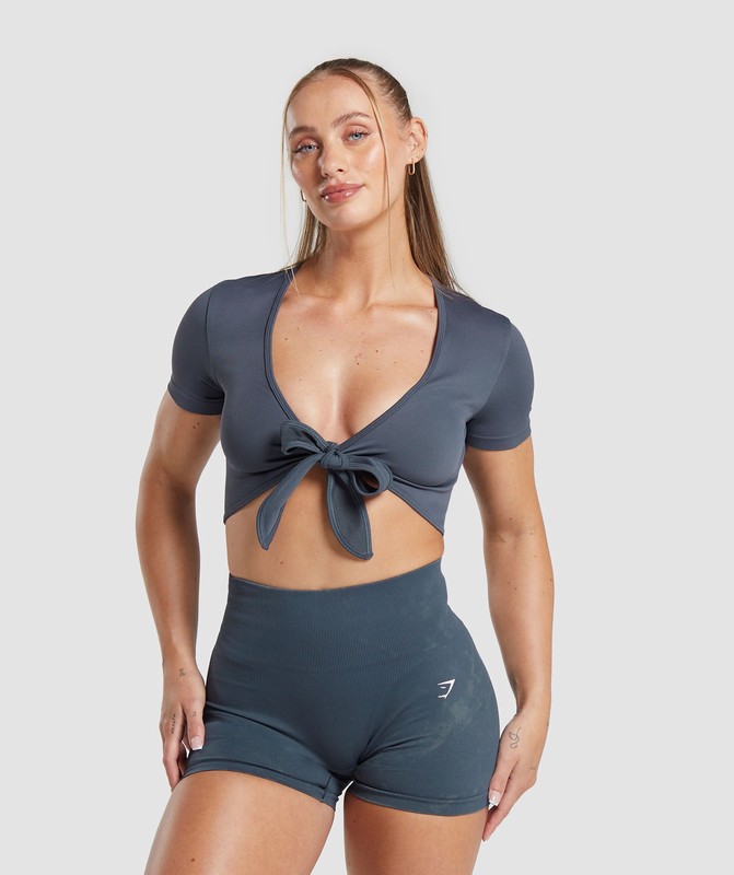 Gymshark Gains Seamless Fitted Crop Top Titanium Blue | 89570NKUG