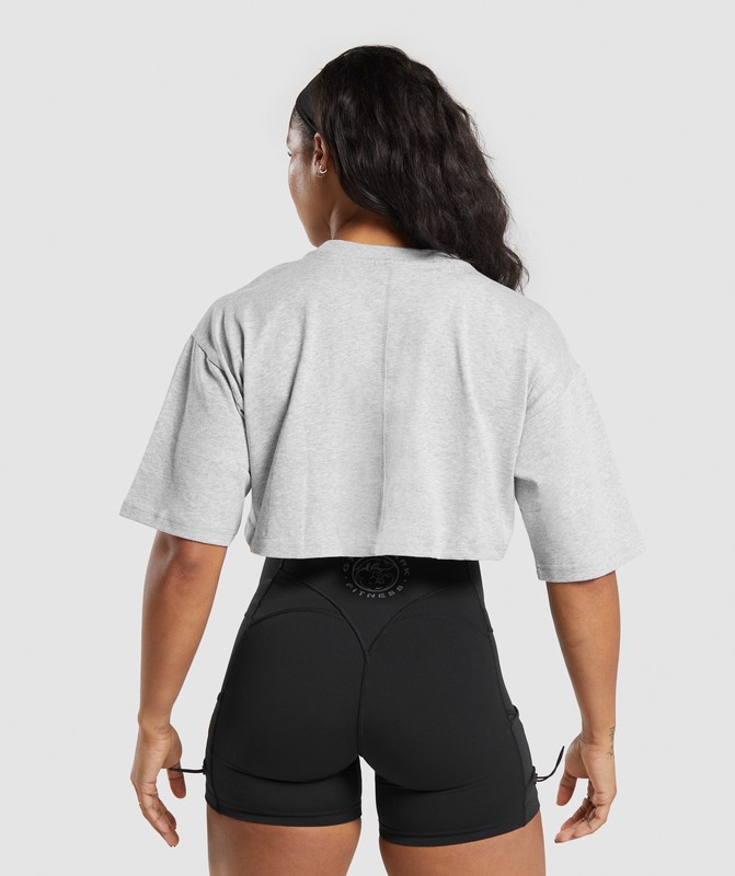 Gymshark Heavyweight Cotton Crop T-Shirt Grey | 96825MSPG