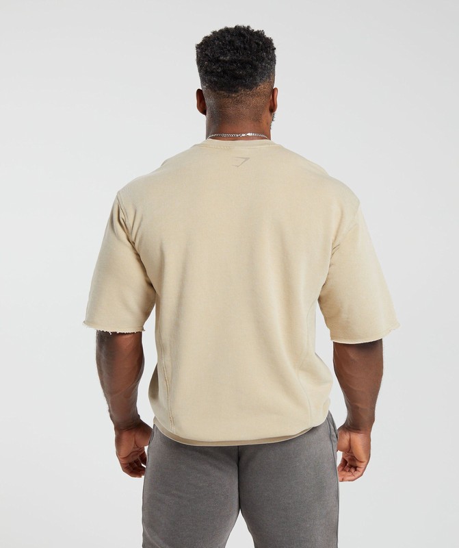 Gymshark Heritage Washed Short Sleeve Crew Desert Beige | 43821UEYA
