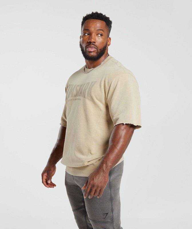 Gymshark Heritage Washed Short Sleeve Crew Desert Beige | 43821UEYA