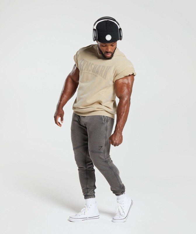 Gymshark Heritage Washed Short Sleeve Crew Desert Beige | 43821UEYA
