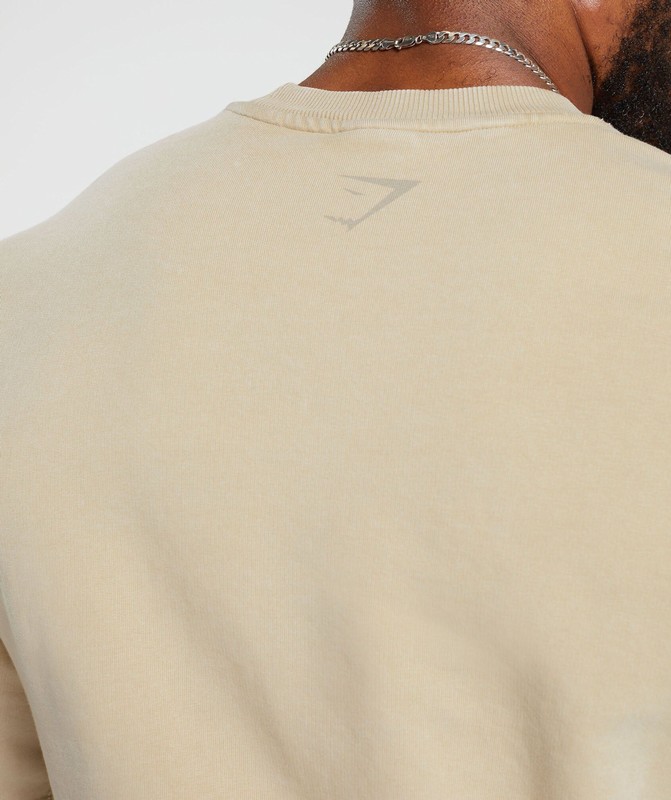 Gymshark Heritage Washed Short Sleeve Crew Desert Beige | 43821UEYA