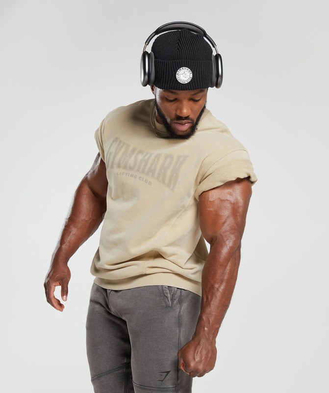 Gymshark Heritage Washed Short Sleeve Crew Desert Beige | 43821UEYA