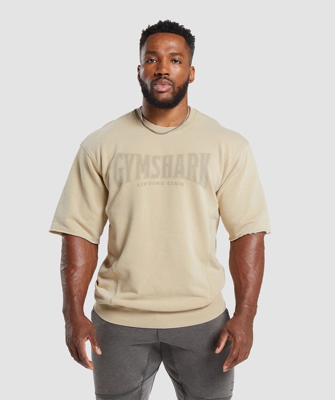Gymshark Heritage Washed Short Sleeve Crew Desert Beige | 43821UEYA