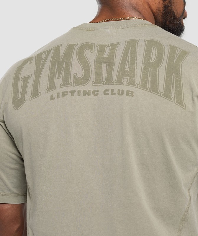 Gymshark Heritage Washed T-Shirt Utility Green / Acid Wash | 46317KNTG