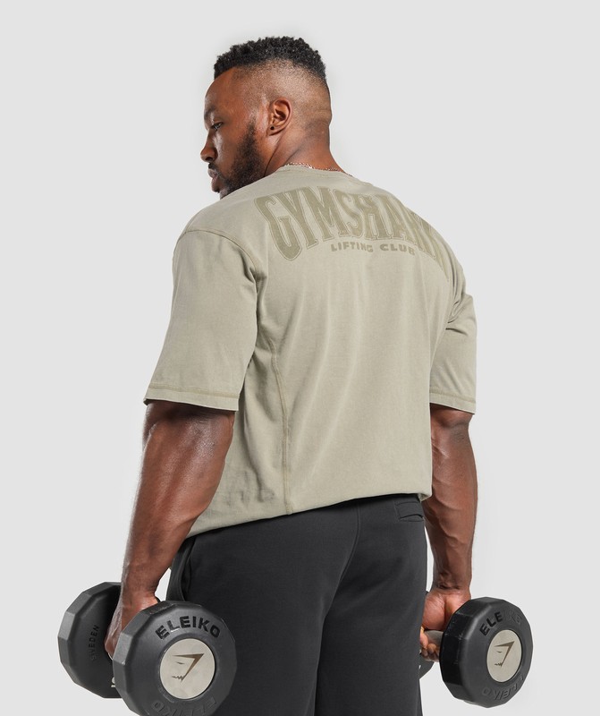 Gymshark Heritage Washed T-Shirt Utility Green / Acid Wash | 46317KNTG