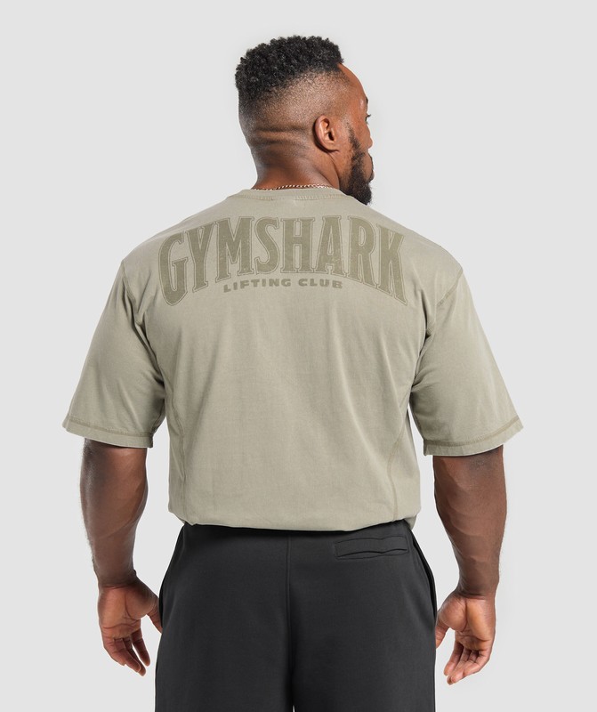 Gymshark Heritage Washed T-Shirt Utility Green / Acid Wash | 46317KNTG