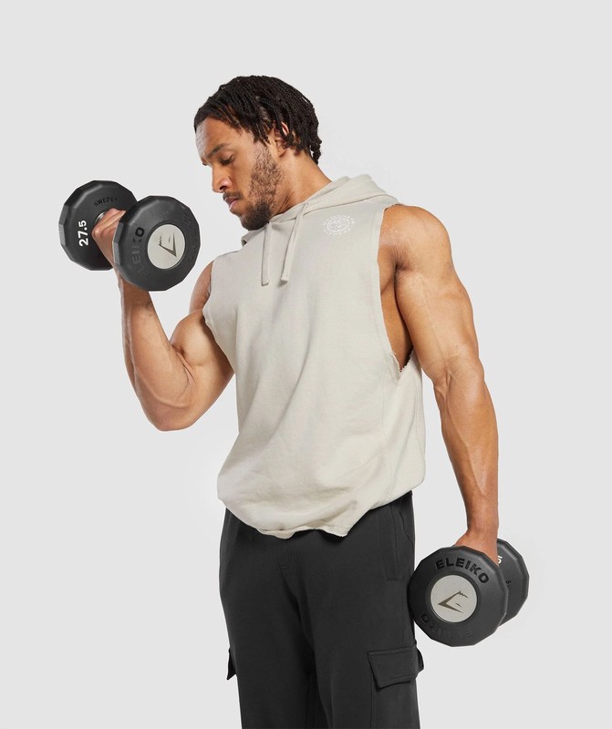 Gymshark Legacy Drop Arm Hoodie Pebble Grey | 31046BNUS