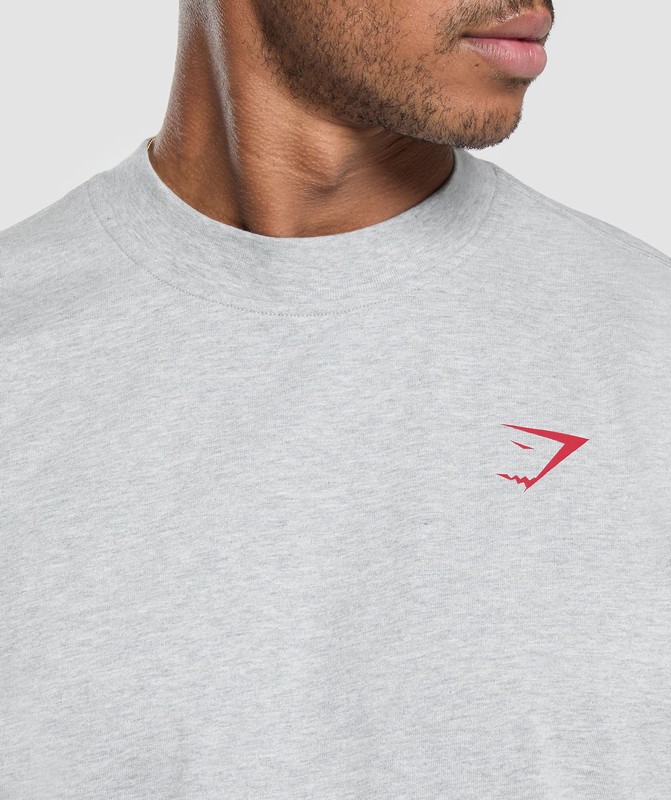 Gymshark Power Overlay OS Tee GFX Light Grey Marl | 70391LKTE