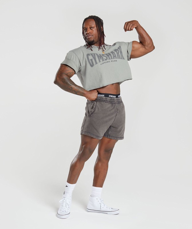 Gymshark Power Washed 5" Shorts Onyx Grey | 97042UILT