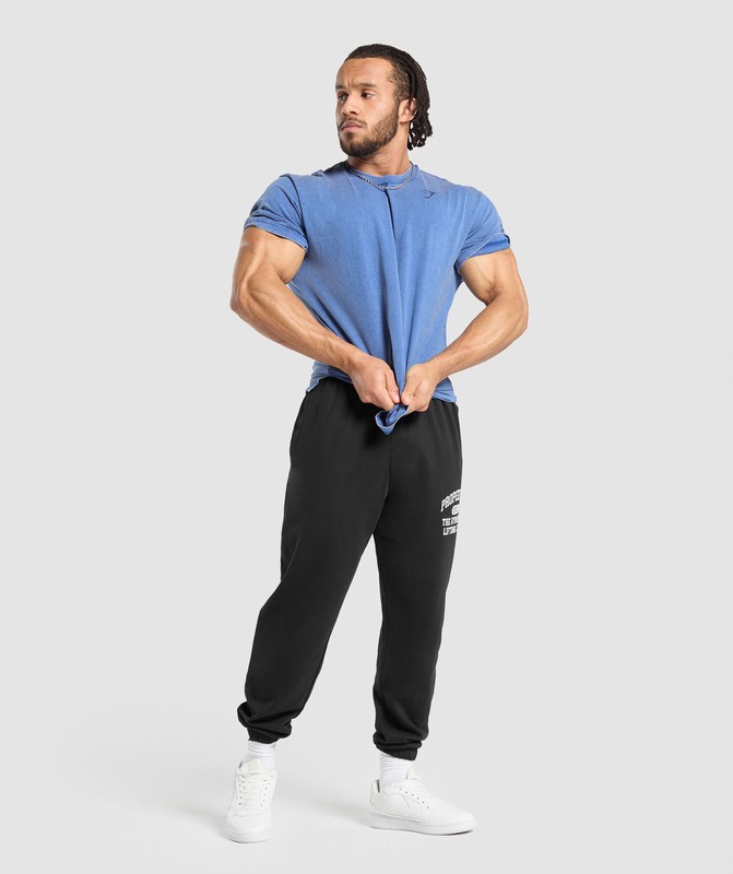 Gymshark Power Washed T-Shirt Vintage Blue | 64193XFPA