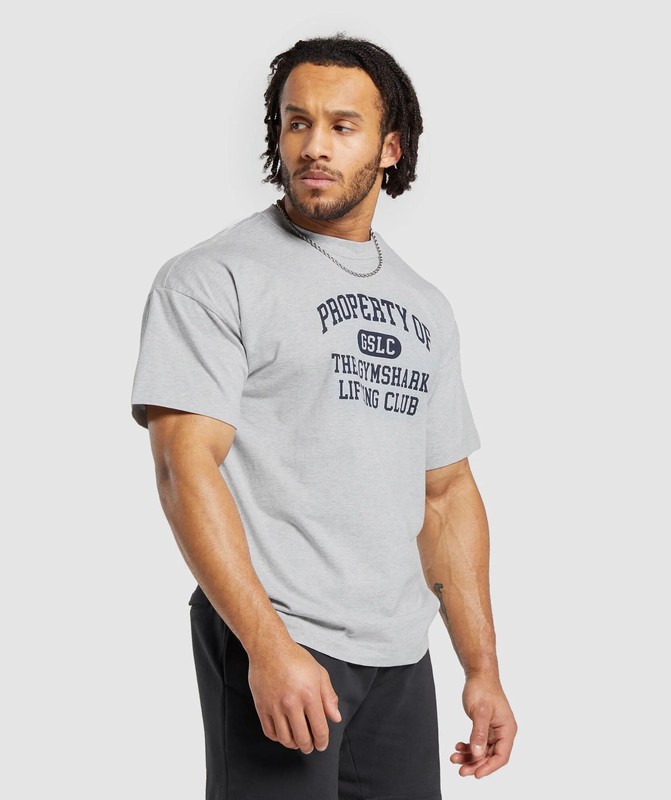 Gymshark Property Of T-Shirt Light Grey Core Marl | 39574PNJU