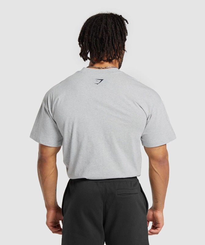 Gymshark Property Of T-Shirt Light Grey Core Marl | 39574PNJU