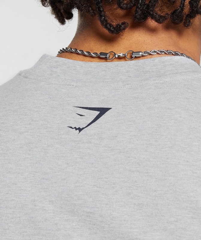 Gymshark Property Of T-Shirt Light Grey Core Marl | 39574PNJU