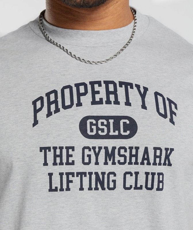 Gymshark Property Of T-Shirt Light Grey Core Marl | 39574PNJU