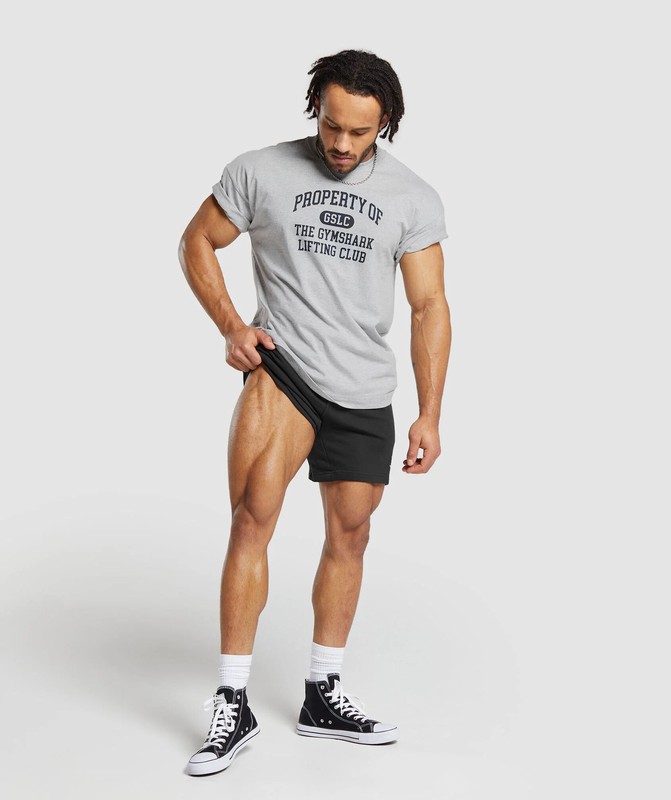 Gymshark Property Of T-Shirt Light Grey Core Marl | 39574PNJU