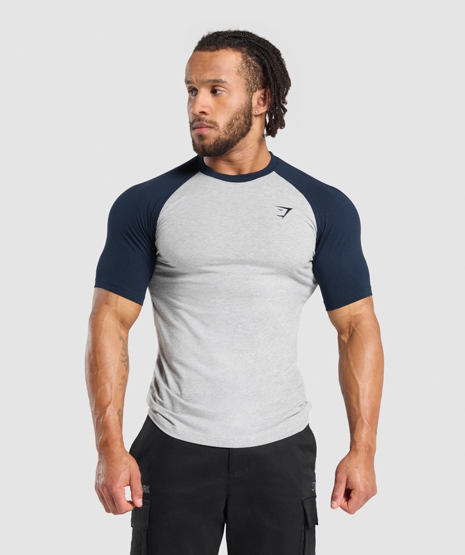 Gymshark Raglan T-Shirt Light Grey Core Marl / Navy | 45912DHUI