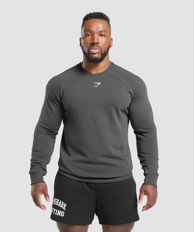 Gymshark Reaper Crew Asphalt Grey | 08427SJLD