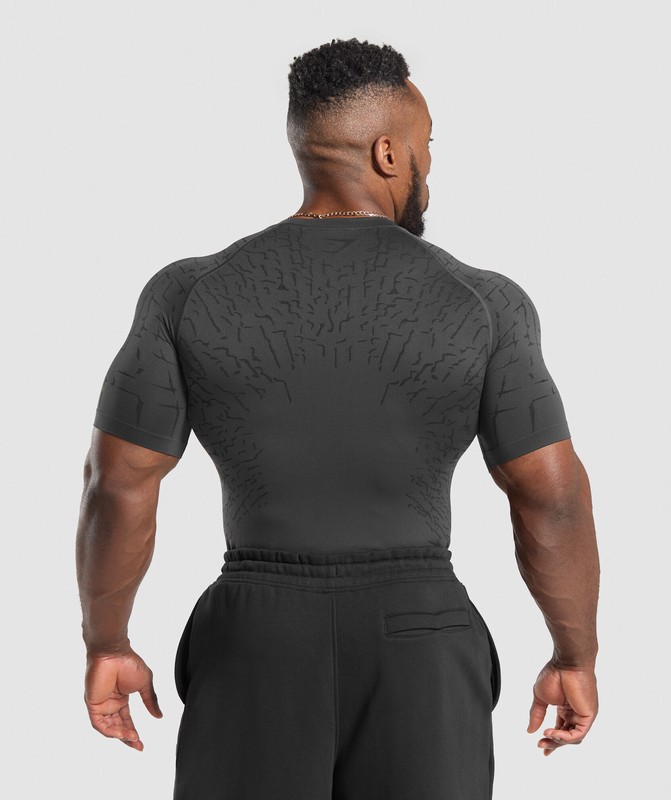 Gymshark Tectonic Seamless T Shirt Asphalt Grey / Black | 47528LRQB