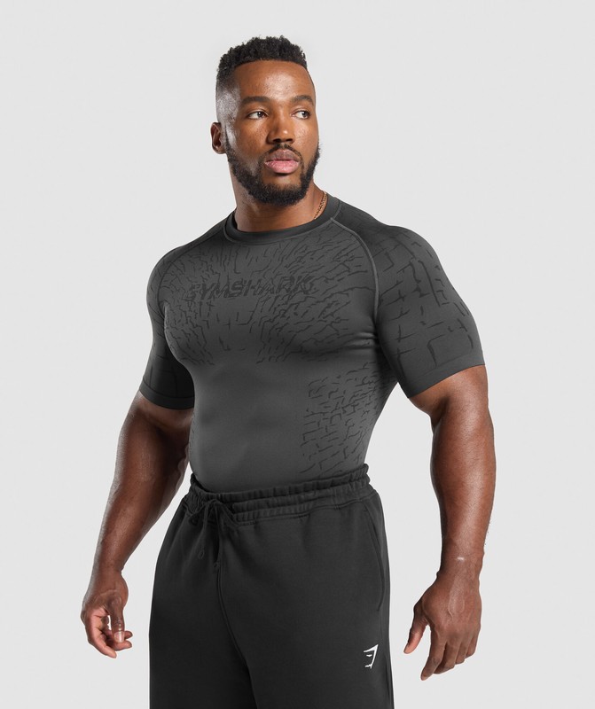 Gymshark Tectonic Seamless T Shirt Asphalt Grey / Black | 47528LRQB