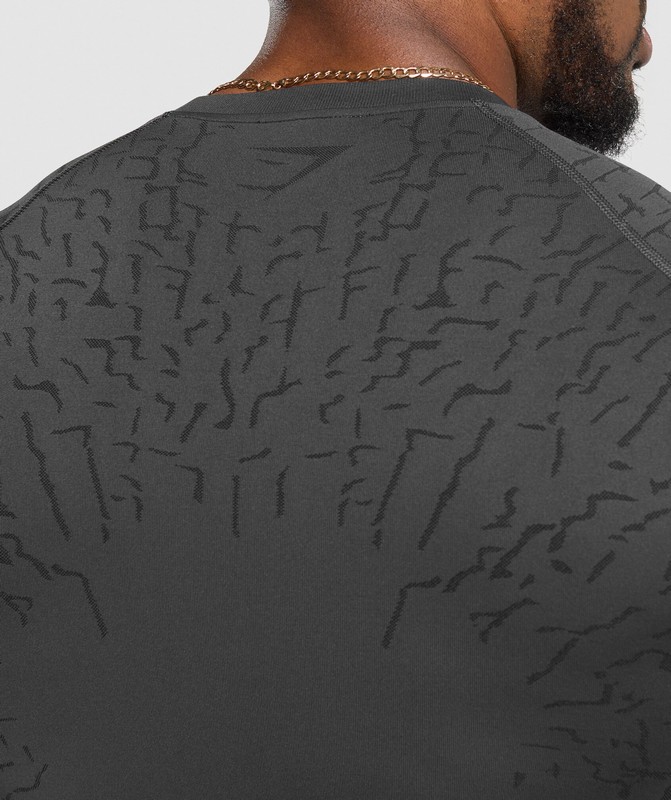 Gymshark Tectonic Seamless T Shirt Asphalt Grey / Black | 47528LRQB