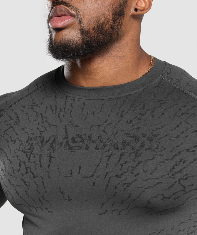 Gymshark Tectonic Seamless T Shirt Asphalt Grey / Black | 47528LRQB