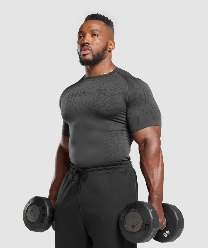 Gymshark Tectonic Seamless T Shirt Asphalt Grey / Black | 47528LRQB