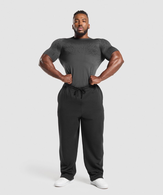 Gymshark Tectonic Seamless T Shirt Asphalt Grey / Black | 47528LRQB