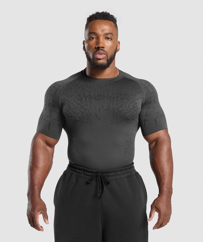 Gymshark Tectonic Seamless T Shirt Asphalt Grey / Black | 47528LRQB
