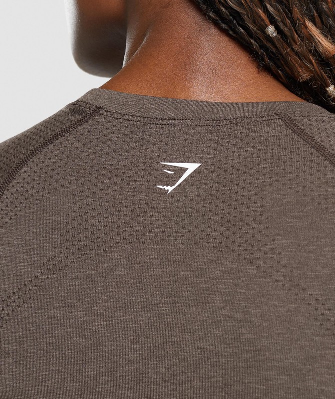 Gymshark Vital Seamless 2.0 Light T-Shirt Penny Brown Marl | 12879UFVC