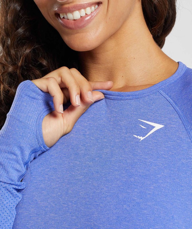 Gymshark Vital Seamless Light Long Sleeve Top Lift Blue / Marl | 29537AMHN