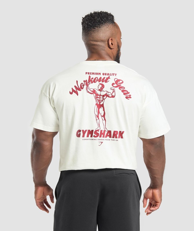 Gymshark Workout Gear T-Shirt Soft White | 17530PVKM